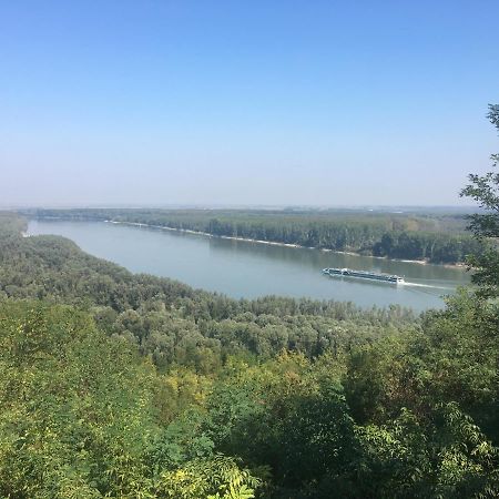Kuca Za Odmor Brzica Erdut 빌라 외부 사진
