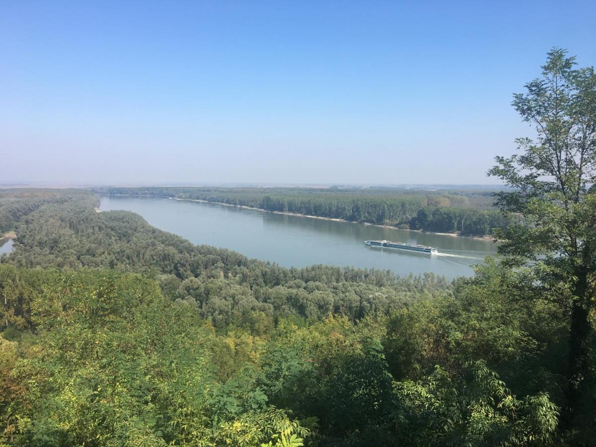 Kuca Za Odmor Brzica Erdut 빌라 외부 사진